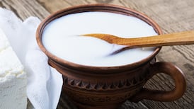 What is kefir and why do we have to feed it?