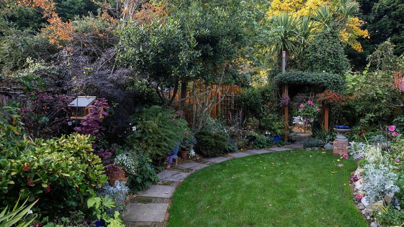 Owen Connollyâ€™s garden in Dundrum. Picture credit; Damien Eagers 14/10/2020