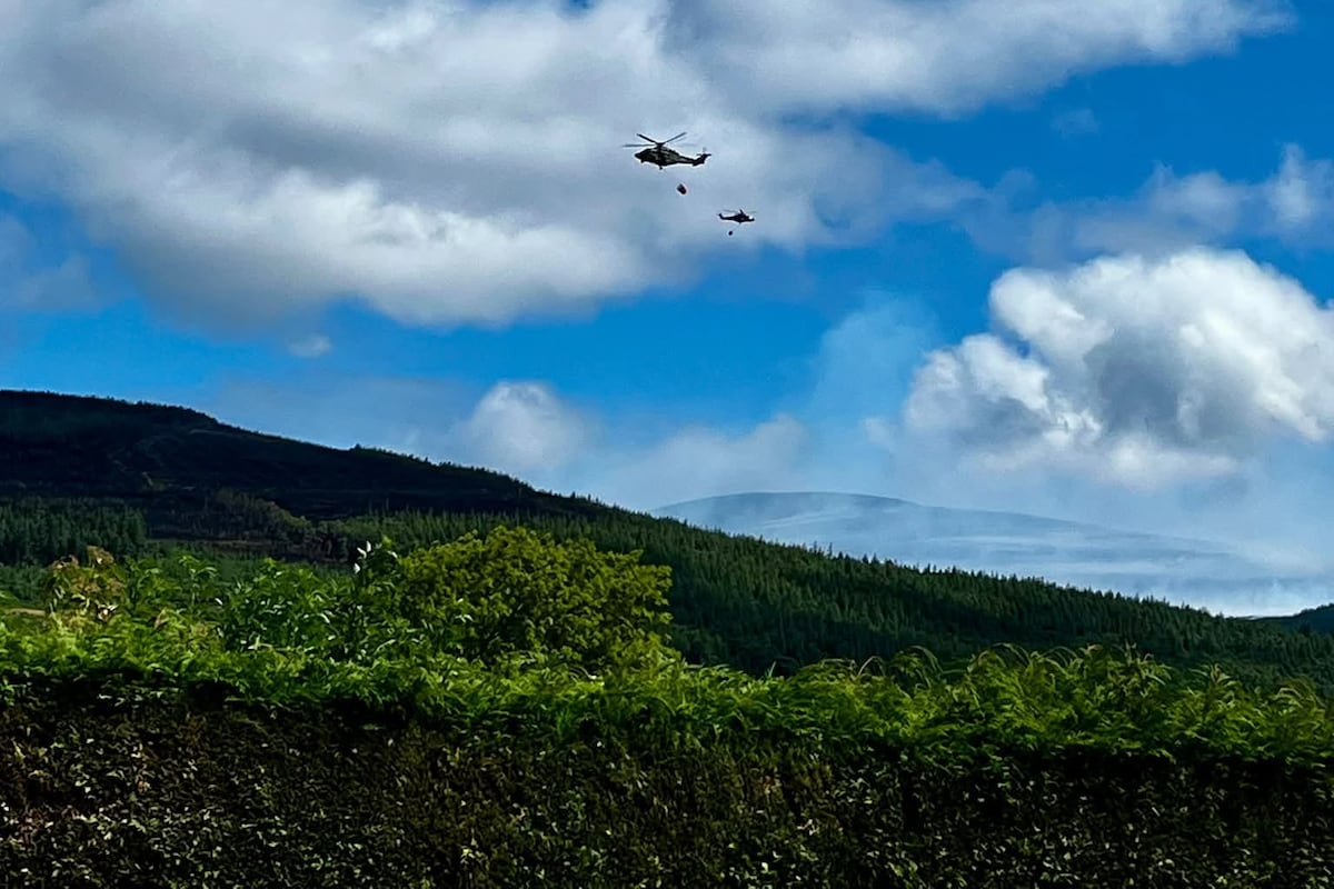 Firefighters in Tipperary and Wicklow stand guard against repeat mountain flare-ups