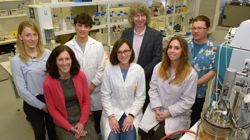 The team at UCC – Lucy Taylor, Javier Varela, Dr John Morrissey, Dr Pavel Baranov, Dr Francesca Doonan, Noemi Montini and Valentina Sforza – who  will play a major role in the research effort with its €1.3 million share of the budget. Photograph: John Sheehan