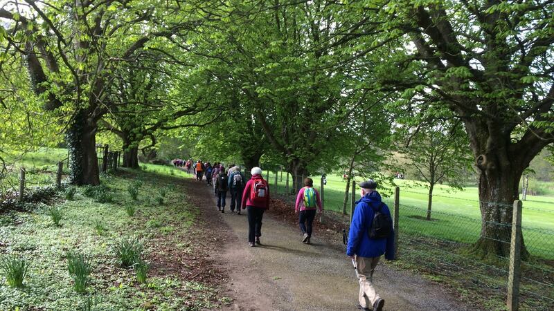 Linking Cashel with Ardmore, St Declan’s Way  follows the journey taken by Declan on his way to meet Patrick.