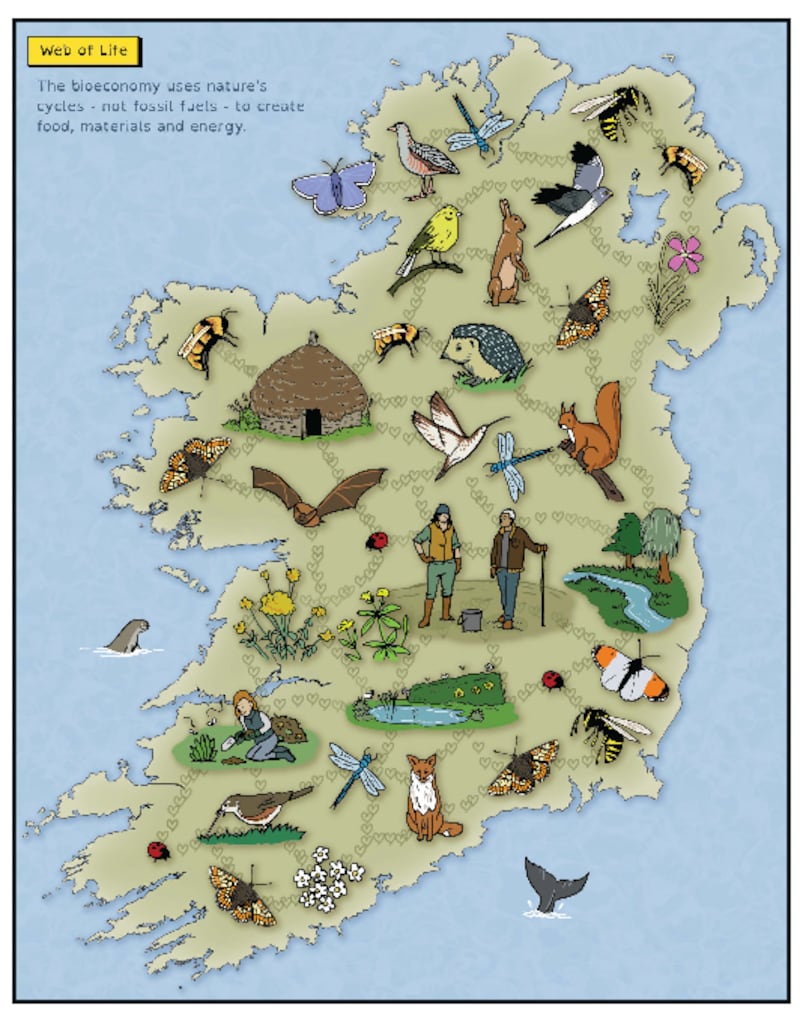 A graphic representation of Ireland's bioeconomy, featured in the comic series Beo, Raja and the Butterfly Effect. Illustration: Nathan T Wright