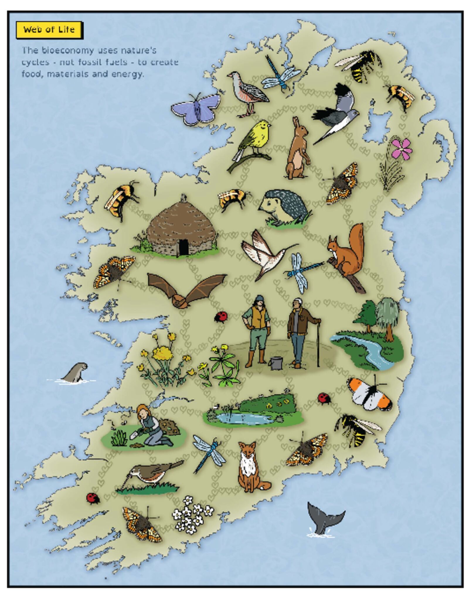 Clock Insect Ireland Ireland’s only protected insect the marsh fritillary to star in new ...