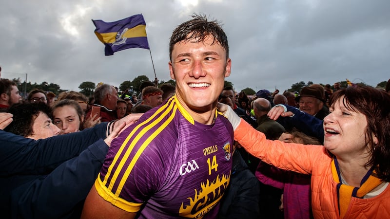 Lee Chin is mobbed by the fans after the superb individual display in the victory over Kilkenny at Wexford Park in 2017. Photograph: James Crombie/Inpho