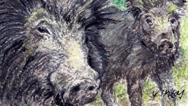 Why politicians need to try harder to find the words for wildlife