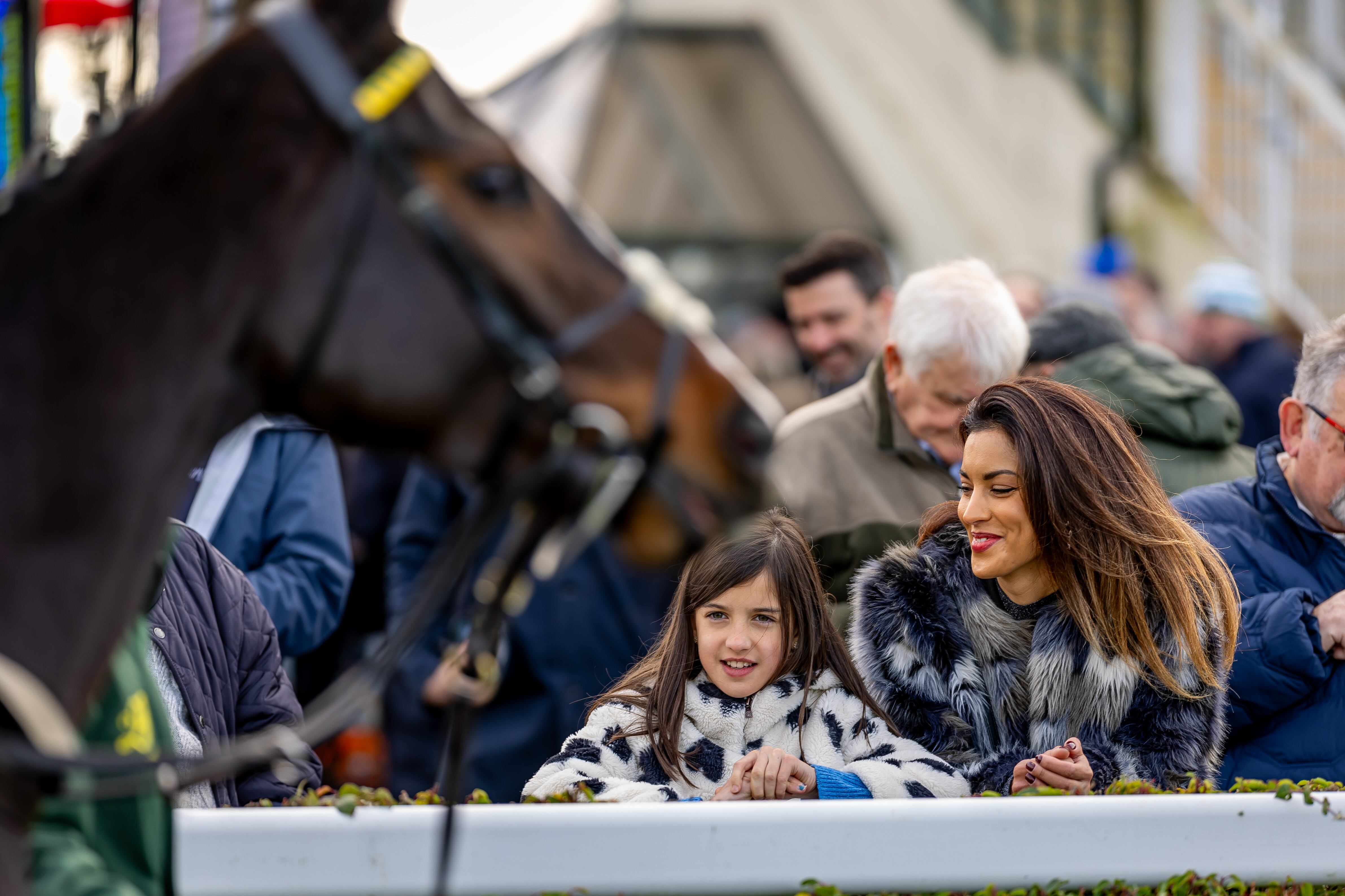 Greater transparency needed to boost confidence in racing’s attendance figures