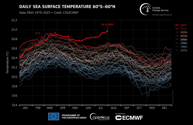 Daily global sea surface temperature (°C) averaged over the 60°S–60°N domain plotted as a time series for each year from January 1st, 1979 to July 31st 2023. Data: ERA5.