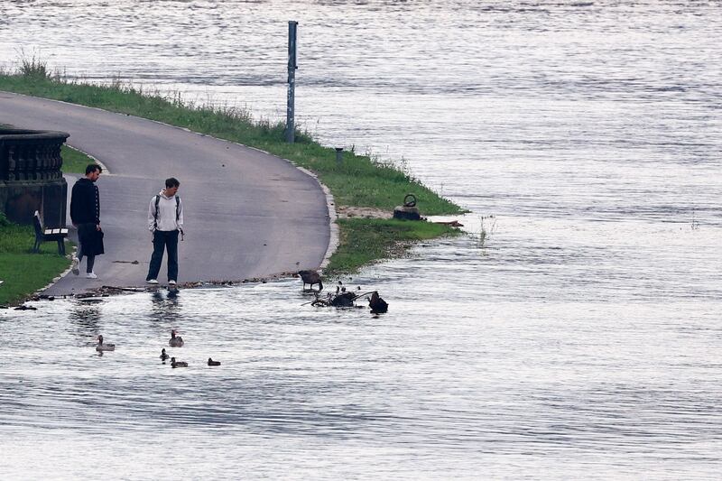 Pedestrians checks water level of swollen Elbe river in Dresden, Germany, on Tuesday. Photograph: Filip Singer/EPA