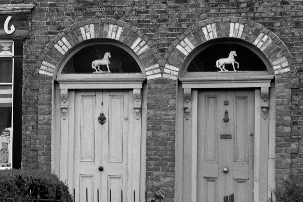 Horse Sense – Frank McNally on the mystery of a once ubiquitous Dublin symbol