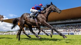 Joseph O’Brien aiming for big-race success in both Cheltenham and Hong Kong