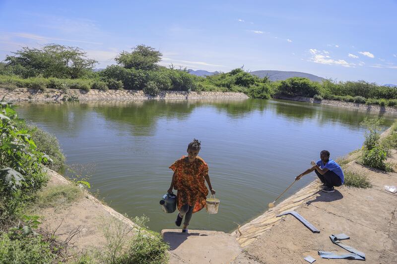 A woman gets water from a reservoir at Dire Dawa University, Ethiopia, found to be a major breeding spot for Anopheles stephensi larvae during a malaria outbreak in 2022. Photograph: Tiksa Negeri/New York Times
                      
