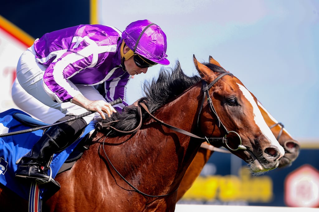 Diego Velazquez is being aimed at Keeneland. Photograph: Bryan Keane/Inpho