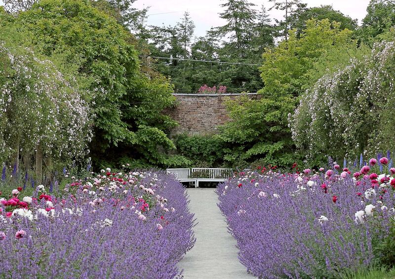 Mount Congreve