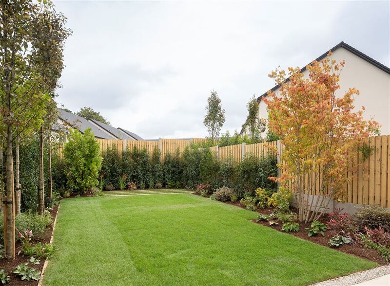 Back garden