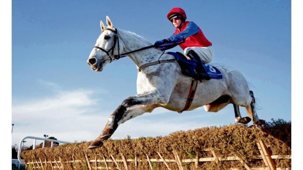 Thousand Stars bids to make his first appearance at Navan today a winning one when he lines up in the Grade Two Ladbrokes Boyne Hurdle. photograph: morgan treacy/inpho