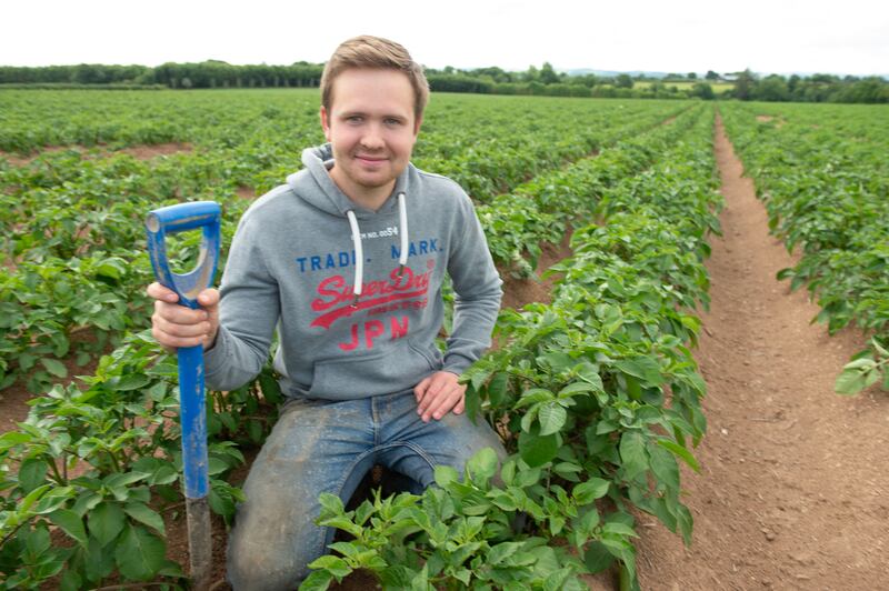 Buttimer suggests new varieties with shorter growing seasons could mitigate the risks of weather extremes in future. Photograph: Michael Mac Sweeney/Provision