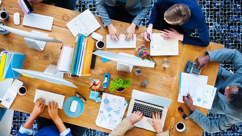 Starting up: a cockroach refers to a start-up consisting of hard-working founders who keep survival at the core of their business strategy