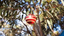 ‘Our first Christmas in Australia will undoubtedly be an odd one’