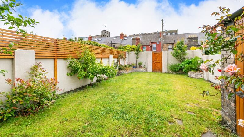 Back garden