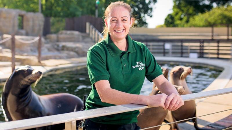 London Zoo: An Extraordinary Year