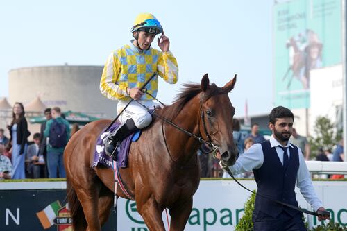 McMonagle goes into Galway festival top of the jockeys table after Gowran hat-trick