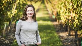 A lost year: How the pandemic affected an Irish winemaker in Burgundy