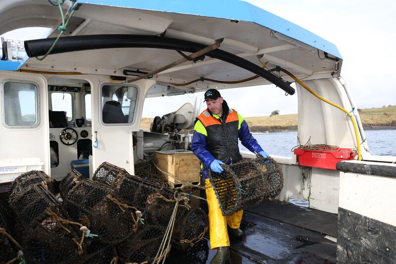 European Commission approves €15 million aid for Irish fishing and aquaculture companies