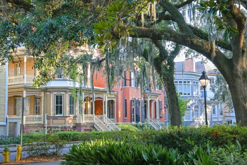 Oak trees and colonial houses in downtown Savannah. Photograph: Daniela Duncan/Getty Images