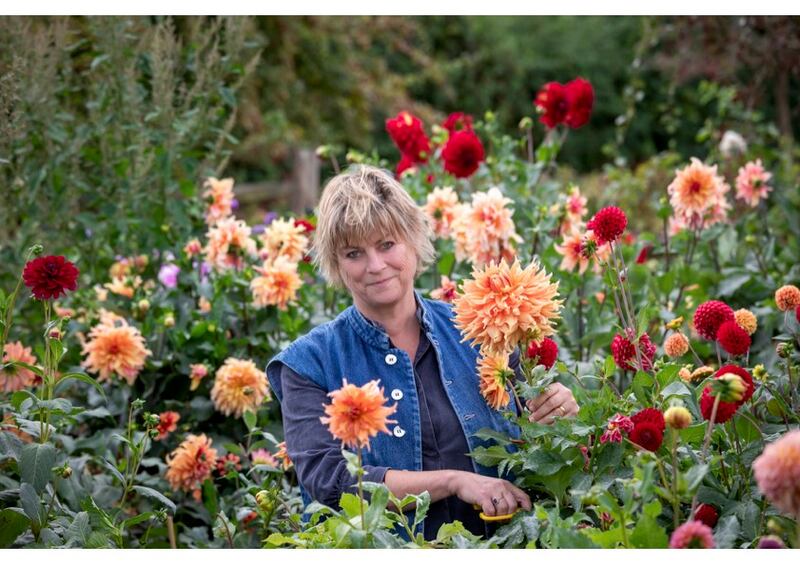 Writer, educator, broadcaster and gardener Sarah Raven with her dahlias. Photograph: Jonathan Buckley
