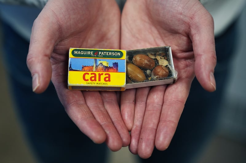 Darren Reidy displays a matchbox, which he says holds a single seed of all 900 native species to Ireland, in his office at the herbarium at the National Botanic Gardens, Dublin. Photograph: Brian Lawless/PA Wire