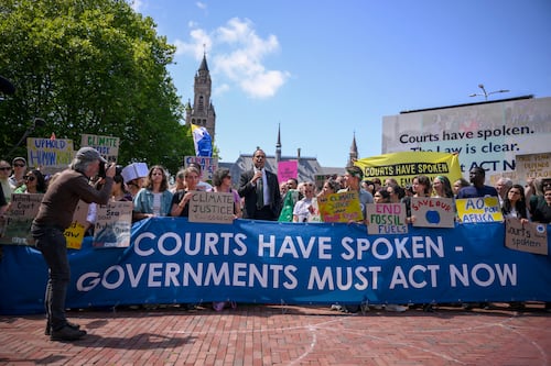 Healthy environment is a human right, top UN court rules in landmark climate case