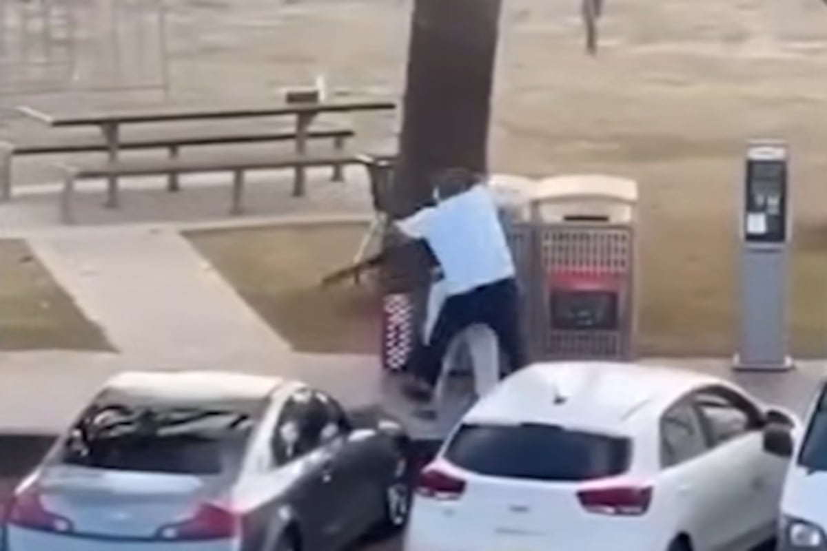 Bystander who tackled armed man at Bondi Beach shooting hailed as hero