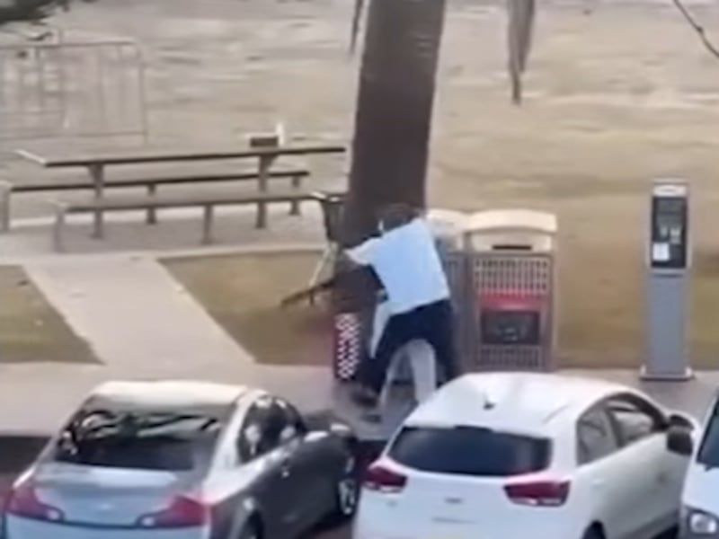 Bystander who tackled armed man at Bondi Beach shooting hailed as hero