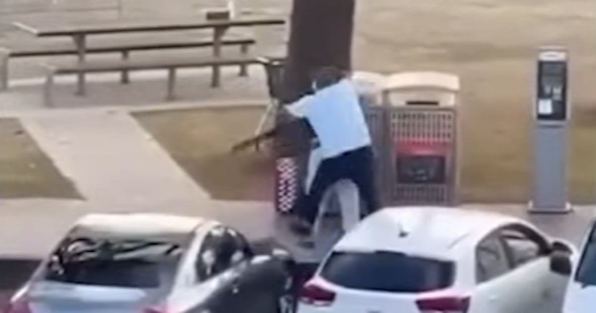 Bystander who tackled armed man at Bondi Beach shooting hailed as hero – The Irish Times