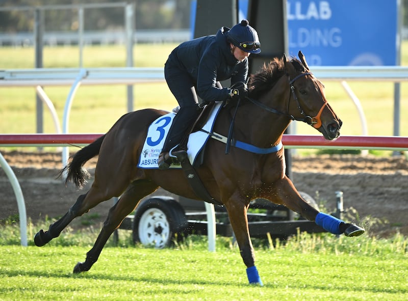 Emilie Siegle riding Absurde during a track session at Werribee racecourse in Melbourne. Photograph: Vince Caligiuri/Getty Images