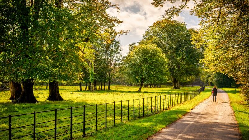 Town park, Killarney, Co Kerry
