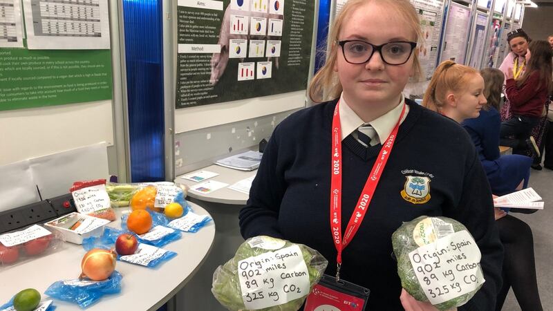 Kaitlyn Ryan from Coláiste Mhuire Co-Ed in Thurles, Co Tipperary,  compared vegan and omnivore diets in the Irish context and factored in carbon miles. Photograph: Kevin O’Sullivan