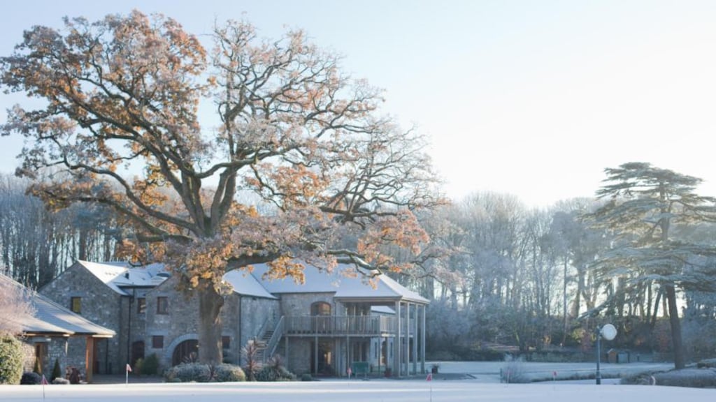 Visit Beyond at Fota Island Resort for a magical Christmas experience