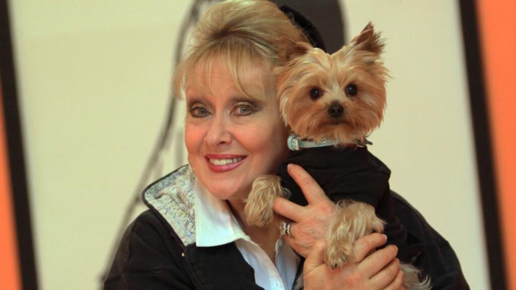 What fresh hell is this?: Twink at rehearsal with her dog, Teddy Bear. Photograph: Nick Bradshaw