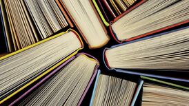 Sales rep sacked  by bookseller  over  depression  awarded €18,000