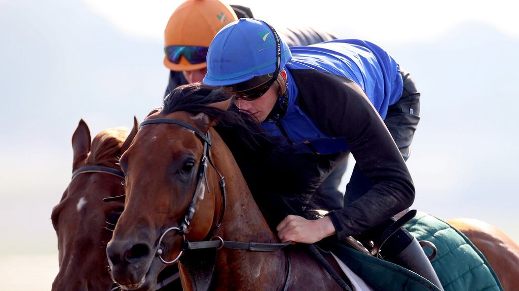 Jockey Ben Coen exercising on the Dubai Duty Free Irish Derby entry Earlswood on the Curragh gallops this week. Photograph: James Crombie/Inpho