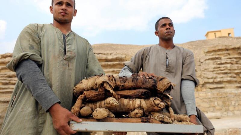 Workers with mummified cats at Saqqara, southwest of Cairo, Egypt. Photograph: Mohamed Abd El Ghany/Reuters