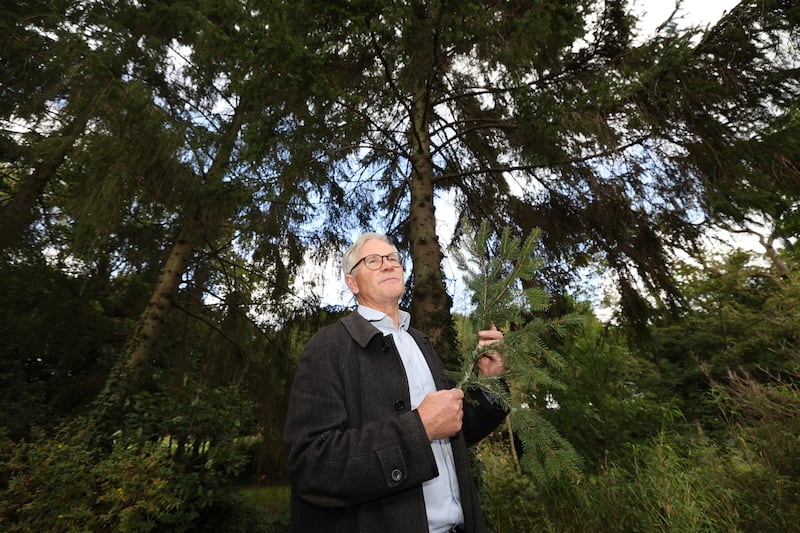 Matthew Jebb, director of the Botanic Gardens in Glasnevin: 'The climate is moving by four kilometres a year in a northerly direction.' Photograph: Nick Bradshaw 