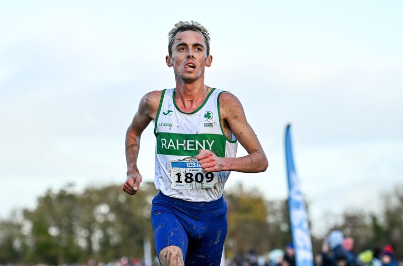 Brian Fay. Photograph: Ben McShane/Sportsfile