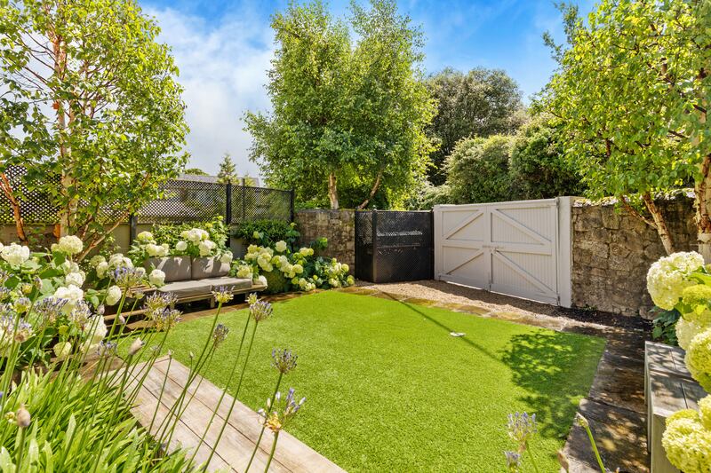 Back garden