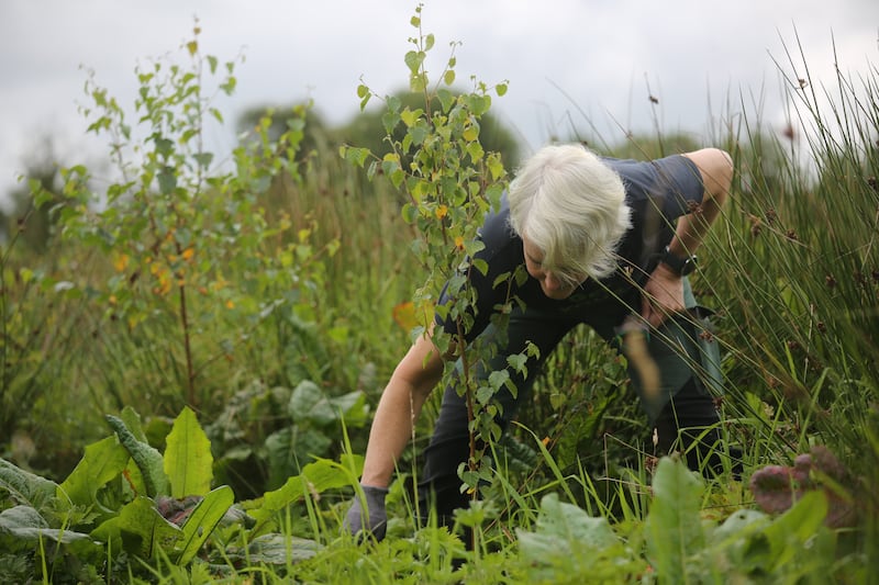 Catherine Cleary at work on her 40-acre farm in Co Roscommon. Photograph: Bryan O’Brien