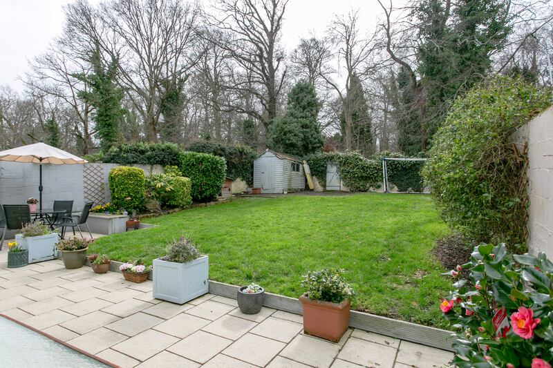 Back garden