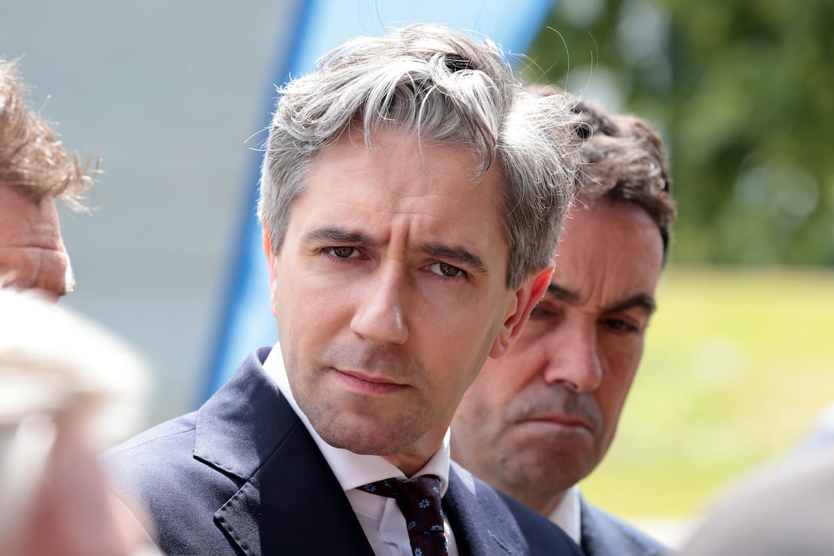 Simon Harris’s aide mocked teachers as work-shy and public as ‘racist’