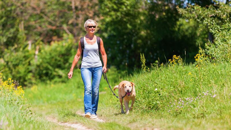 Research indicates that women are typically more risk averse in terms of how much they contribute to their pension fund, and how they wish it to be managed.* Photograph: Shutterstock