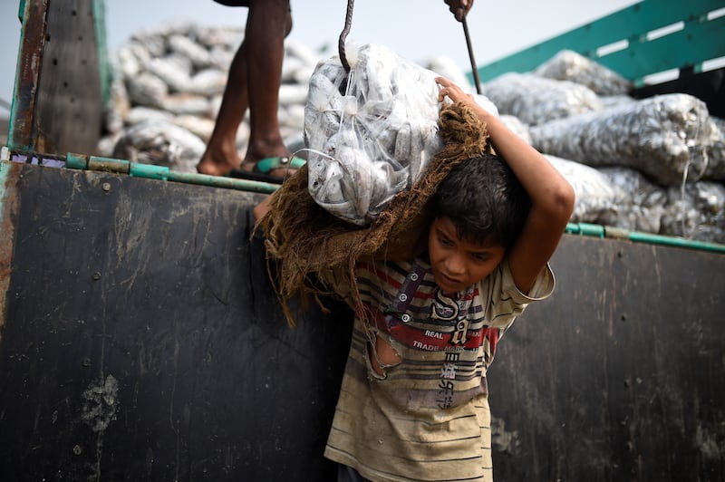 Rohingya refugee Asma Akter (10) unloads frozen fish at Nazirartek drying yard in Cox’s Bazar, Bangladesh. Photograph: Clodagh Kilcoyne/Reuters